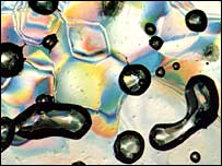 Microscope picture of gas bubbles in ice.  Image: W. Berner/University of Bern