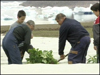 Local residents growing potatoes