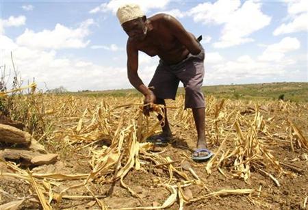 Africa Says Poor Need Billions To Fight Climate Fight Photo: Joseph Okanga