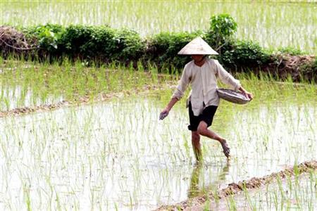 Mekong Delta May Be Inundated By Rising Sea Photo: Kham