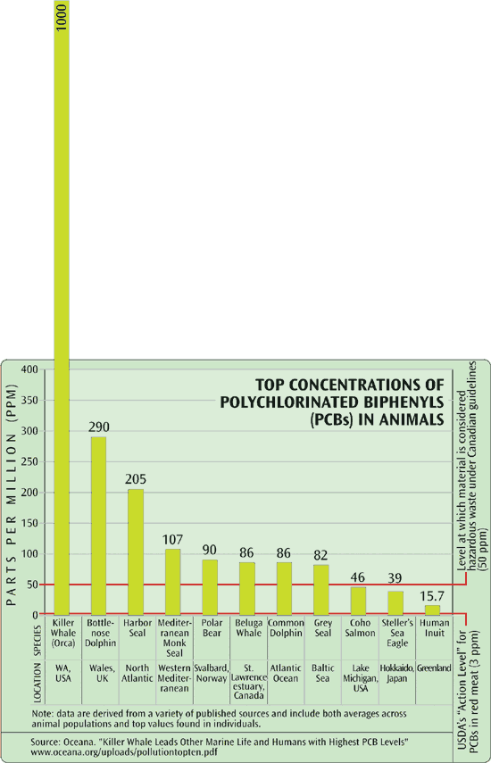Top PCB concentrations in animals