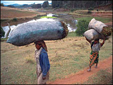Women carrying charcoal sacks