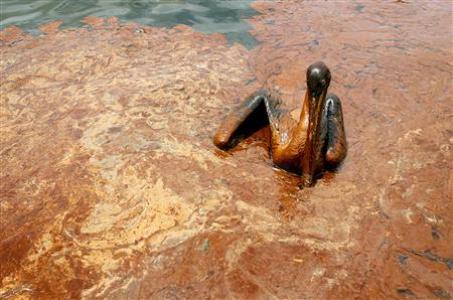 Obama Administration Sues BP, Others Over Gulf Spill Photo: Reuters/Sean Gardner