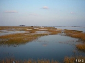 Many Coastal Wetlands Likely To Disappear This Century