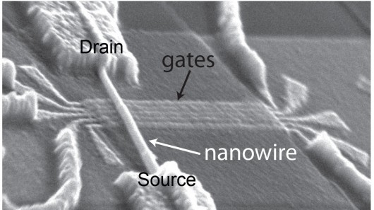 Scanning electron image of the nanowire device with gate electrodes used to electrically c...