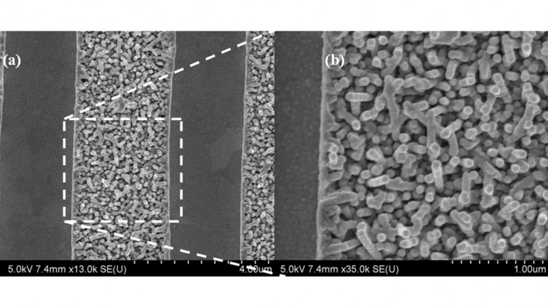 SEM images of nickel-coated TMV arrays patterned using photolithography onto a silicon waf...