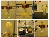 CCNY-Led Team Develops Non-Toxic Oil Recovery 