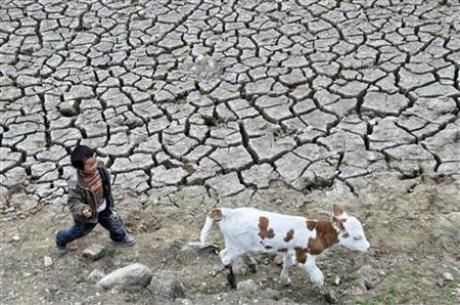 China Says Drought Now Affecting 50 Million People Photo: REUTERS