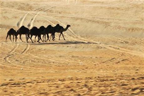 Gulf Looks To Science To Turn Desert To Farmland Photo: Jumana 