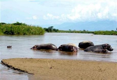 Africa's Lake Tanganyika Warming Fast, Life Dying Photo: Jean 