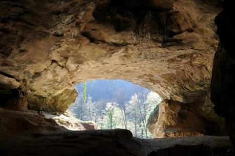 Neanderthals Live On In Some Of Us: DNA Study