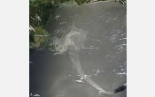 Gulf Oil Spill: NSF Awards Rapid Response Grant To