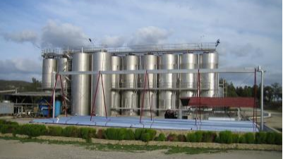 At this winery, the solar 