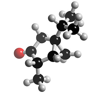 molecule molecule