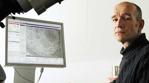 Dr. Nico Sommerdijk and colleagues have created bone in a laboratory setting