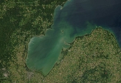 Battling Harmful Algal Blooms