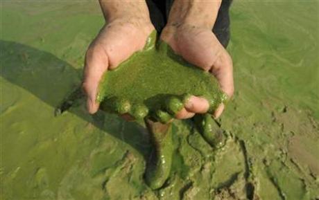 Freshwater Losses Pose Risks For Food, Health: U.N. Photo: Jianan Yu
