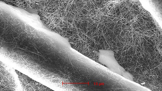 SEM image of the silver nanowires in which the cotton is dipped during the process of cons...
