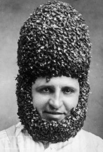 beeHead