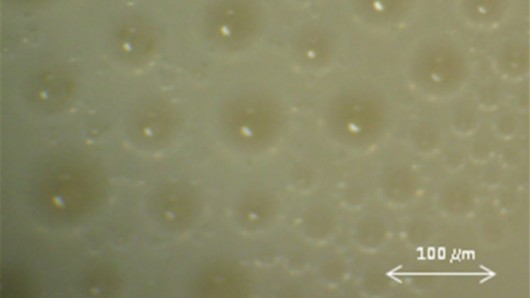 Microscopic image of the biodiesel emulsion fuel created by researchers