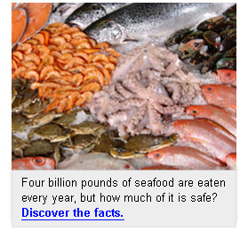 Discover the Facts of Eating Seafood