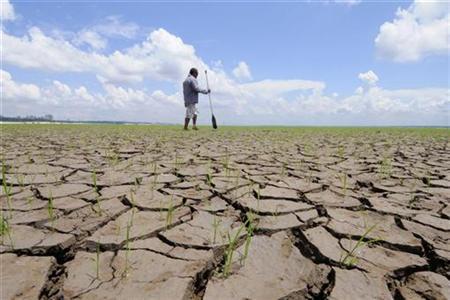 Amazon Drought Caused Huge Carbon Emissions Photo: Euzivaldo Queiroz