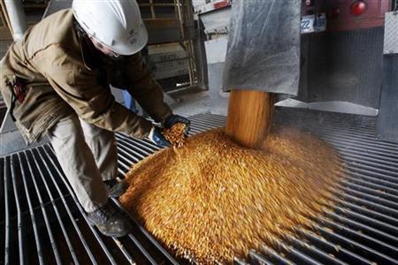 Analysis: In Food Vs Fuel Debate, U.S. Resolute On Ethanol Photo: Reuters/Mark Blinch