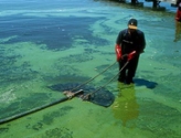 Using Mining By-Products To Reduce Algal Blooms