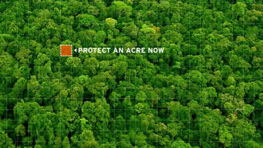 Deforestation driving CO2 buildup