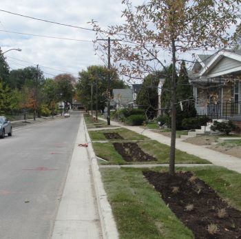 Maywood Avenue green street project