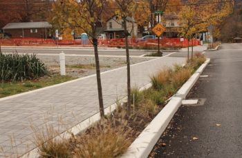 ARRA funded Green Reserve green street 