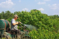 Herbicide Spraying