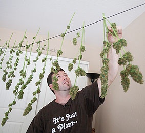 Medical-marijuana patients Scott and his girlfriend, Jody, spend $5,000 on a grow room in their home.