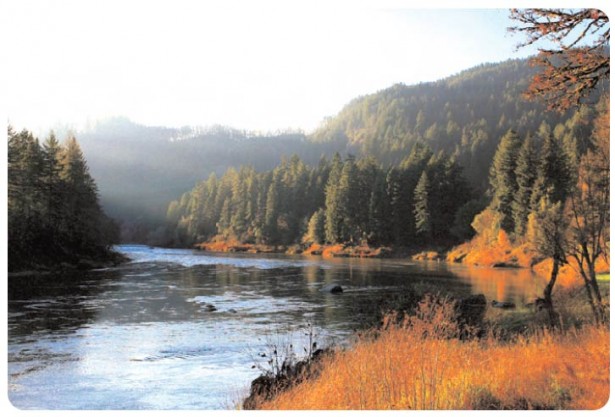 The Umpqua river in Oregon The Umpqua river in Oregon