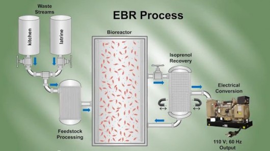 A diagram of the process utilized by the Endurance Bioenergy Reactor 