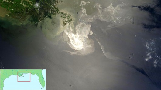 The dispersants used to control the Deep Horizon oil spill were criticized for their toxic...