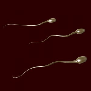 sperm.