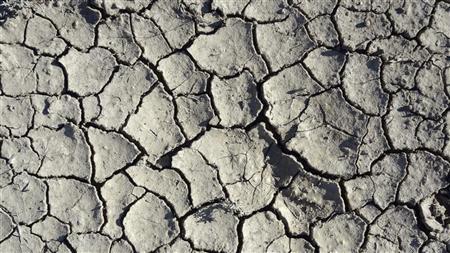 Drought expands in many farm states Photo: Charles Platiau