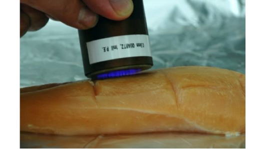 A plasma torch eliminates bacteria from raw chicken