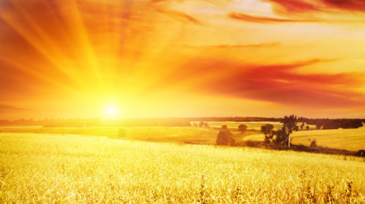 A new study has concluded that sunshade geoengineering is more likely to improve crop yiel...