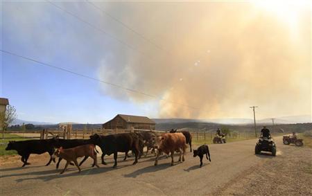 Ravaged by fires, Western ranchers face 'scary' summer Photo: George Frey