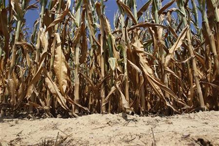 House drought bill keeps $5 billion subsidy targeted by reformers Photo: John Sommers II