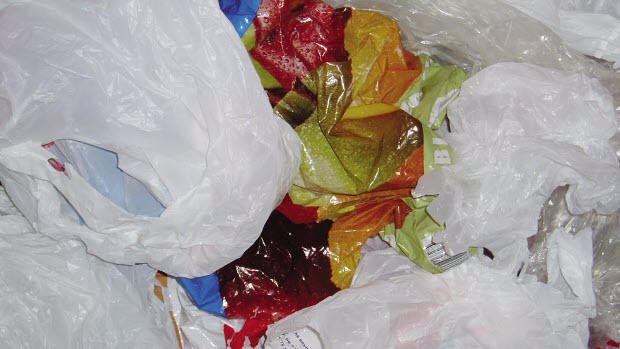 Santa Cruz, Calif., has banned plastic bags.