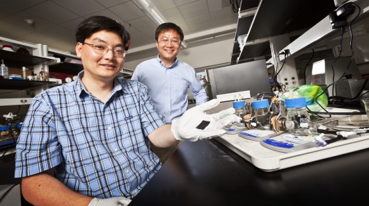 University of Wisconsin researchers discover nannorod catalyst that works as well as plati...