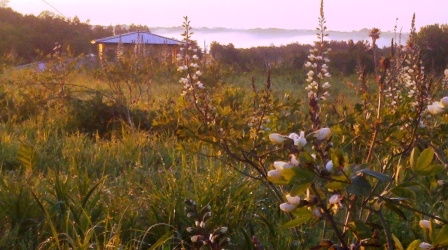View of the house from the prairie