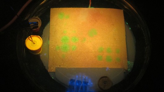 Looking through a UV-blocking filter, the green spots show the location of active catalyst...