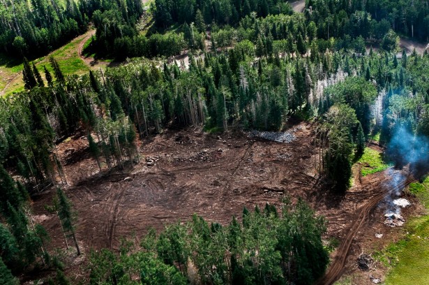 Aerial Photo of Clear Cutting on San Francisco Peaks
