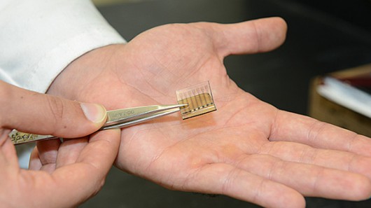 The all-carbon solar cell consists of a photoactive layer, made of carbon nanotubes and bu...