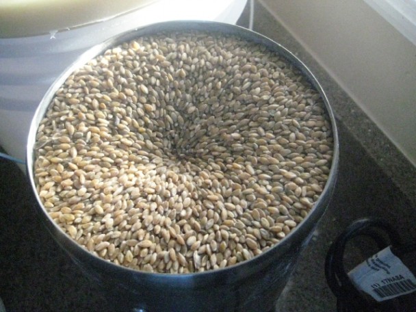 All Grain Mill with Genuine Einkorn Wheat Berries
