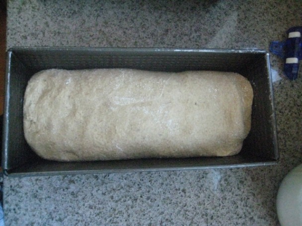 Einkorn Dough Rising